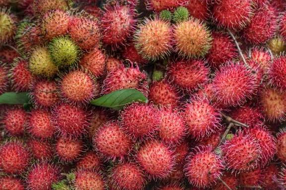 Hati Hati, Ini dia Orang Orang Yang Pantang Makan Rambutan